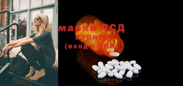 ECSTASY Белокуриха