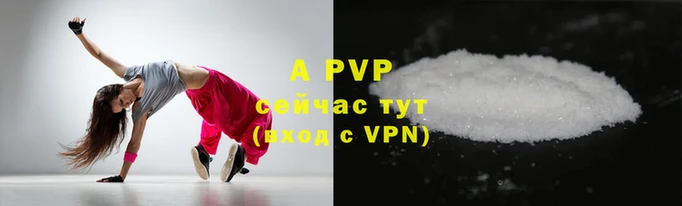 ECSTASY Белокуриха