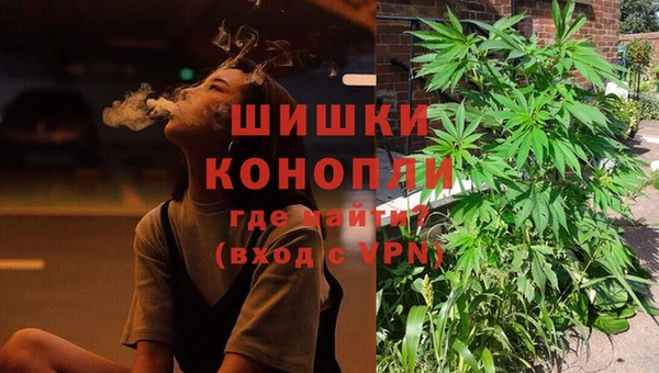 ECSTASY Белокуриха